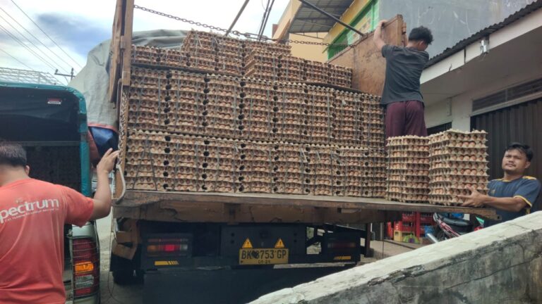 Diduga Terlibat Pengiriman Telur Ilegal, Usaha Milik Istri Bupati Nias Barat Disorot – Penegak Hukum Didesak Bertindak Tegas