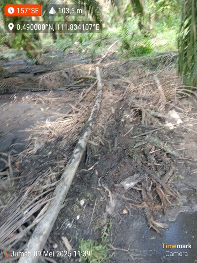 Diduga Cemari Sungai Jentu, PT SMS Didesak Bertanggung Jawab: Aktivis Minta Penegakan Hukum Lingkungan di Kapuas Hulu