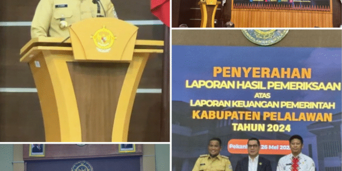 Kabupaten Pelalawan Raih WTP ke-13, Bupati Zukri Wakili Kepala Daerah se-Riau Sampaikan Sambutan