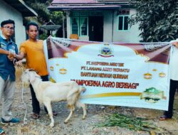 Sampoerna Agro Berbagi Hewan Kurban Untuk Desa Sekitar di Ketapang
