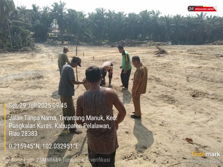 Desa Dundangan Jadi Contoh Penanaman Jagung Program Prabowo di Riau