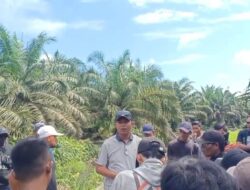 Sengketa Sawit Memanas di Kubu Raya: Warga Tanjung Manggis Tuding PT RJP Seperti Penjajah