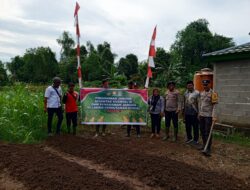 Penanaman Jagung Serentak: Kapolsek Mekar Jaya dan Pemdes Tanjung Baru Wujudkan Ketahanan Pangan Untuk Kesejahteraan Masyarakat
