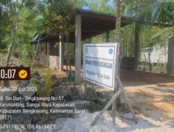 Ratusan Pohon Mangrove di Bengkayang Dibabat untuk Parkir Ilegal, Pemda Diminta Bertindak Tegas