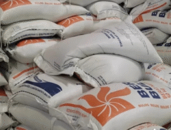 Pemerintah Diminta Cek Ulang Data Penerima Bantuan Beras Bulog yang Dinilai Tak Tepat Sasaran