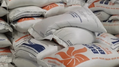 Pemerintah Diminta Cek Ulang Data Penerima Bantuan Beras Bulog yang Dinilai Tak Tepat Sasaran