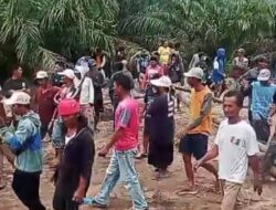 Warga Sepuk Laut Tolak Kompensasi PT PAL: Tuntut Hak Plasma Sesuai HGU 2014, Desak Pemerintah Cabut Izin Perusahaan