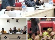 Dugaan Penyelundupan Gas Subsidi 3 Kg dari Singkawang ke Bintan Disorot DPRD