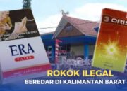 Gagalkan Peredaran Rokok Ilegal,Bea Cukai Kalbar Ringkus Tiga Tersangka
