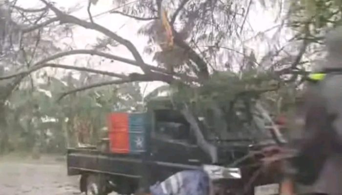 Viral…!! Sejumlah Wilayah di Kabupaten Bekasi Terdampak Pohon Tumbang dan Angin Kencang