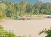 PETI Kab.Sanggau Kalbar Makin Brutal,Dugaan Setoran Ke Aparat Bikin Penegak Hukum Mandek !!!