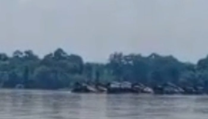 50 Lanting PETI Beroperasi di Bekingi Oknum APH  Warga Pertanyakan Komitmen Polda Kalbar