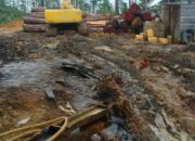 Kilang Kayu Di Tengah Hutan Beutong Ateuh Di Duga Ilegal,Dampaknya Bisa Menyebabkan Deforestasi