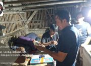 Polresta Cirebon Sita 136 Botol Miras Hasil Razia Pekat