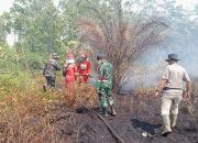 Cegah Meluas, Dandim 1209/Bengkayang Terjun Langsung Padamkan Api Karhutla