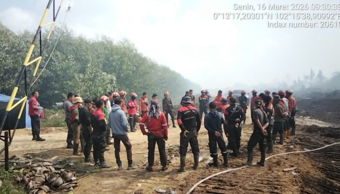 Kebakaran Lahan Gambut di Teluk Meranti Pelalawan Riau