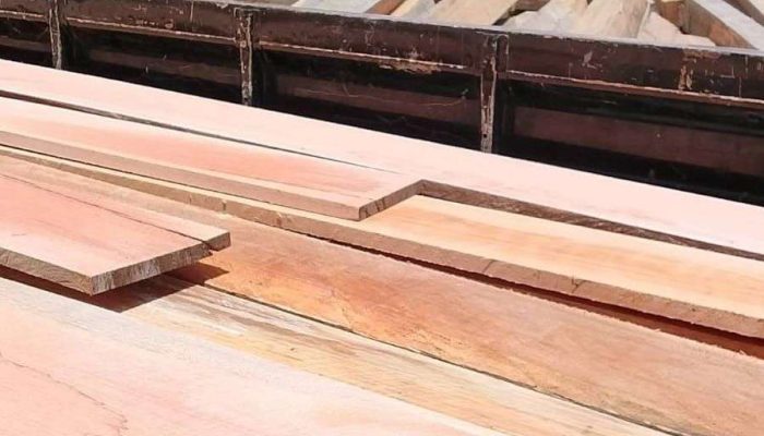 Viral Tumpukan Kayu Diduga Ilegal di Balai Berkuak, Warga Minta Penindakan