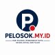 pelosok.my.id Resmi Diperkenalkan di Pelalawan, Jalin Kerja Sama dengan khabarpetang.my.id