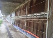 Warga Desa Wargabinangun Keluhkan Lalat Yang Menyerang Teras dan Dapur Rumahnya