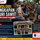 Kronologi Penangkapan Pencuri Sawit di Desa Sialang Godang Pelalawan